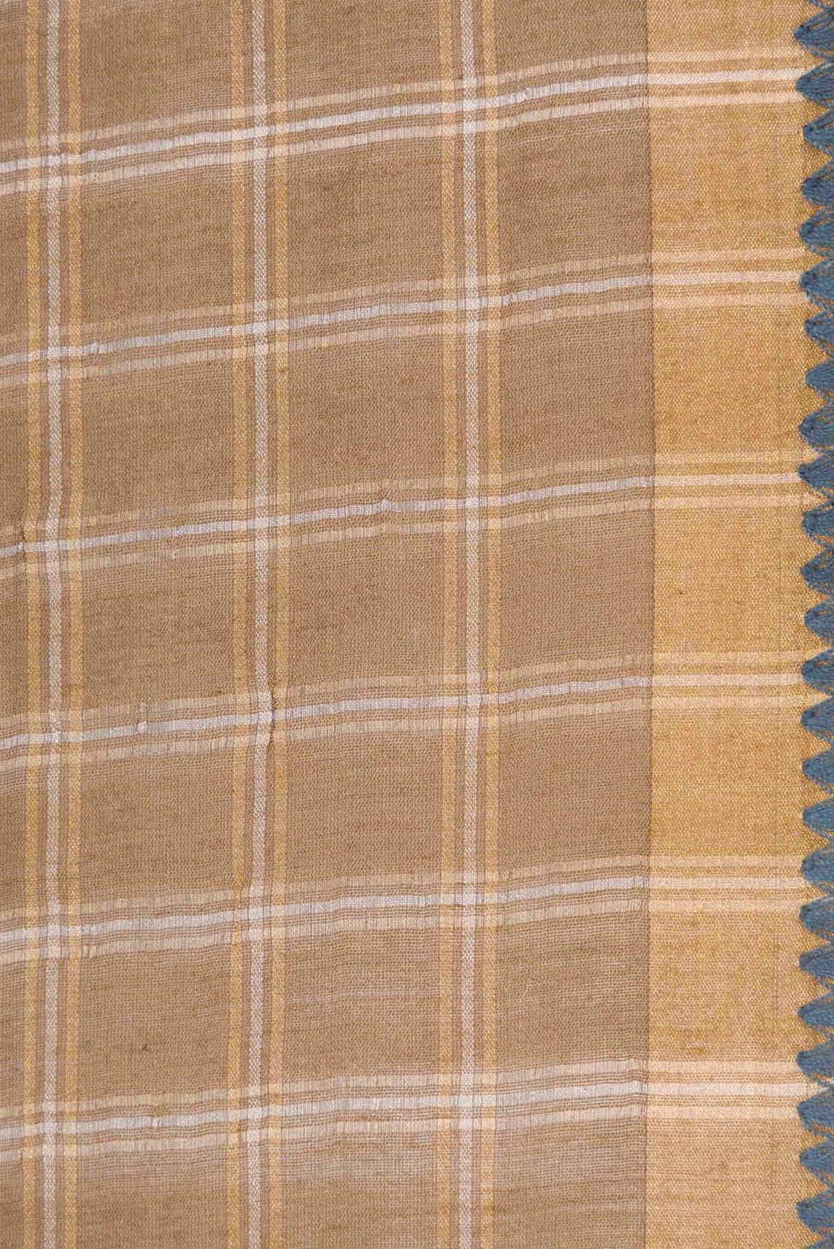 Beige Dual Tone Tussar Silk Saree