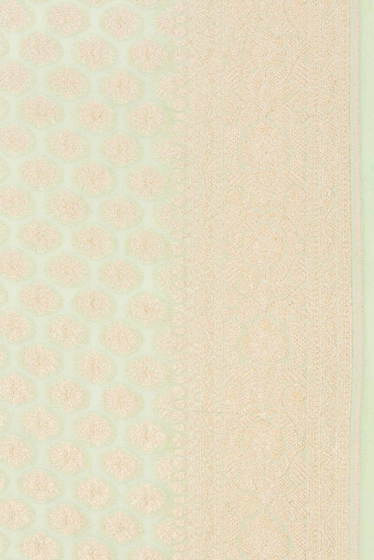 Light Green Dual Tone Banarasi Georgette Saree