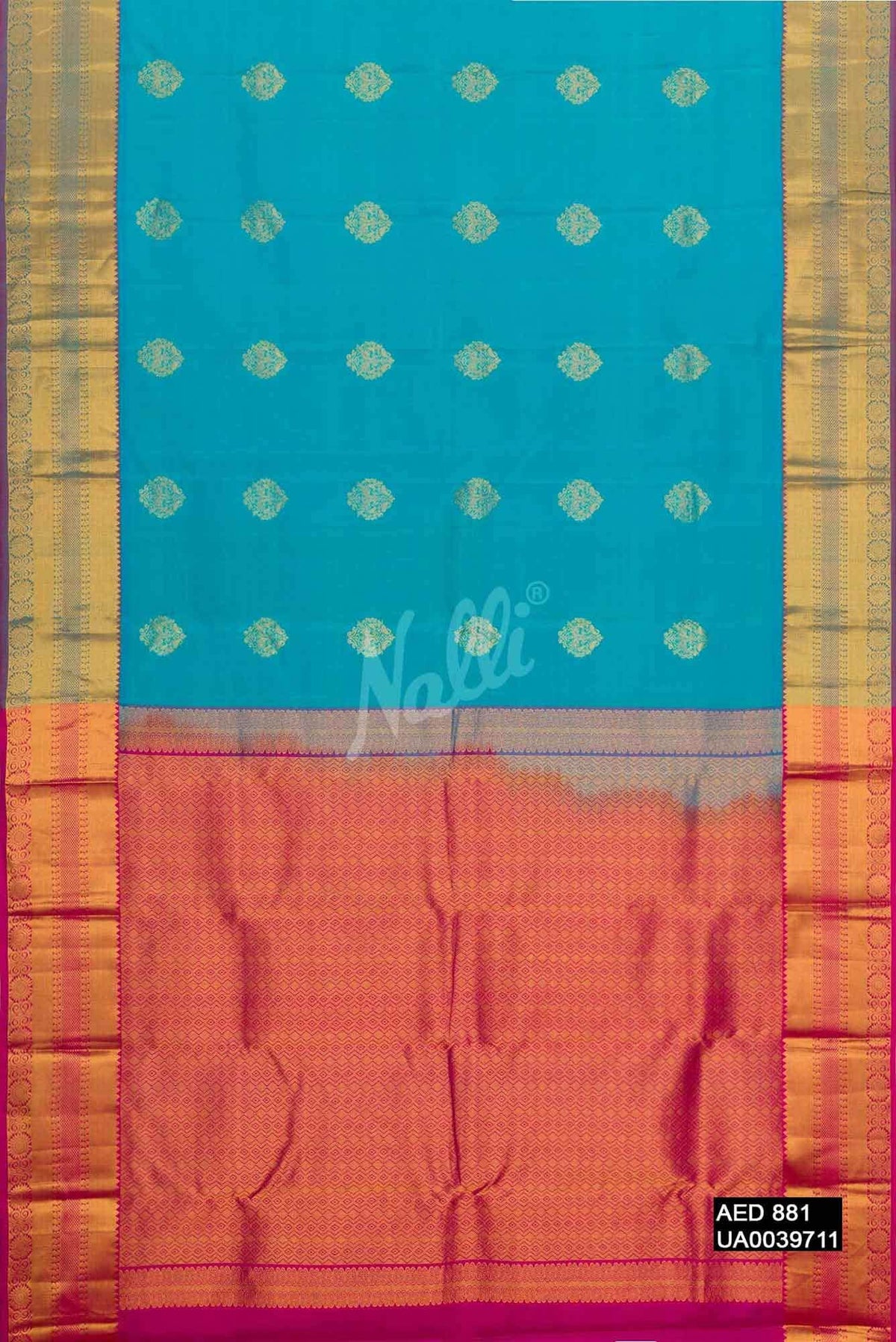 Sky Blue Kanchipuram Silk Saree