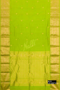Parrot Green Kanchipuram Silk Saree